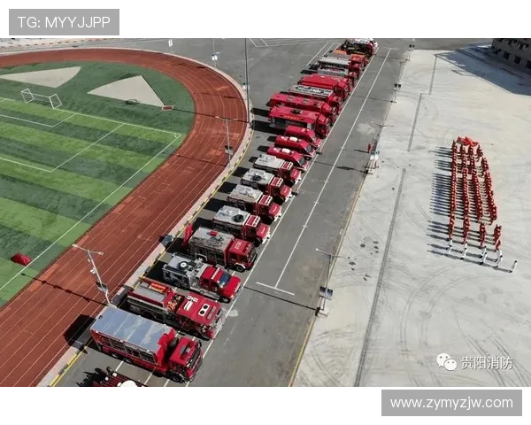 成都乒乓球队的奋斗与荣耀：一段不平凡的突破历程纪实